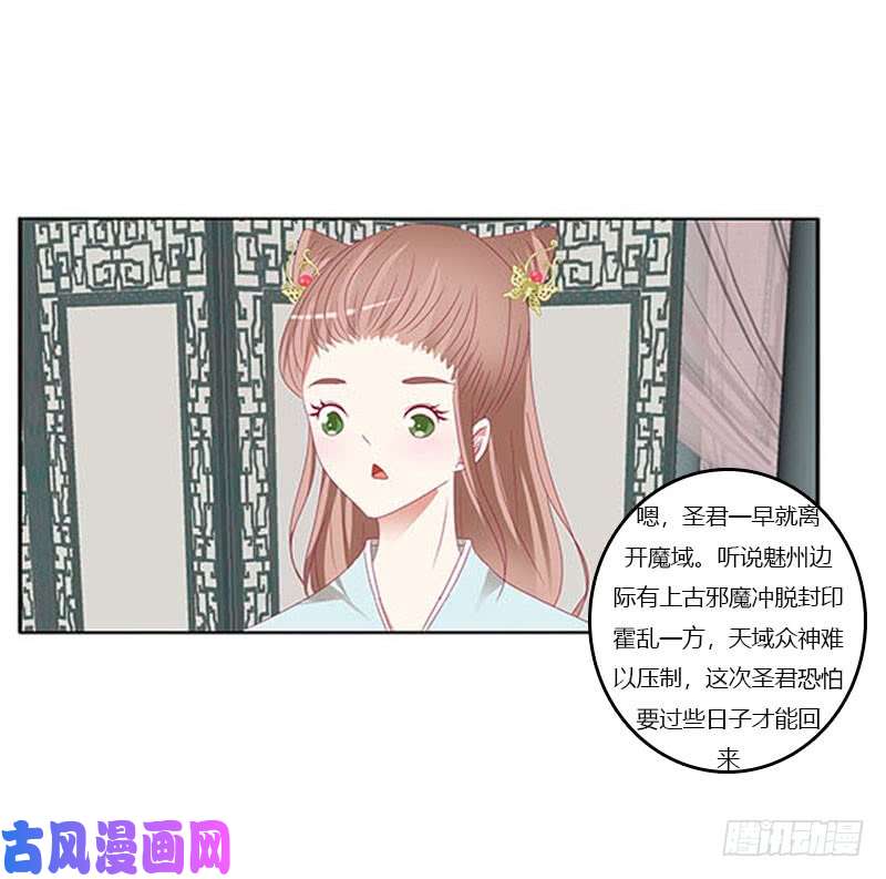 通灵妃本君会照顾“他”