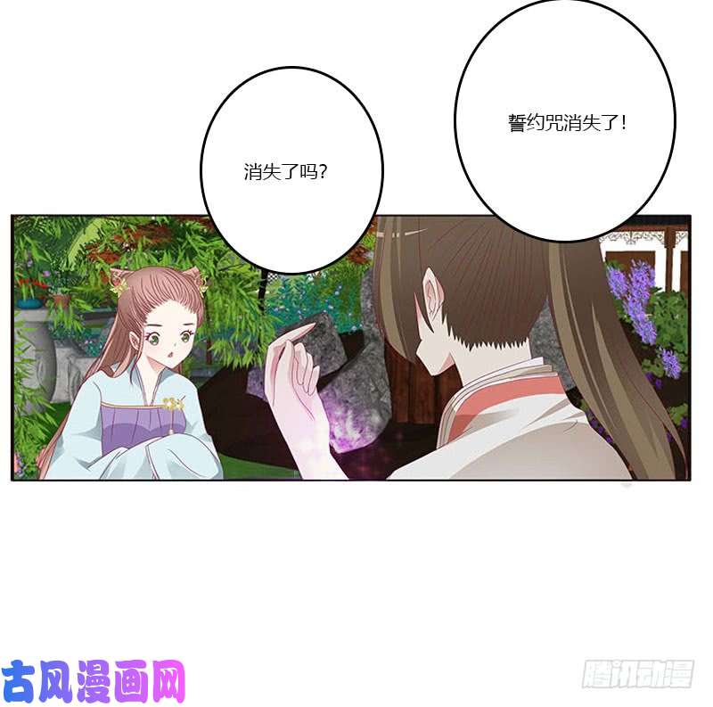 通灵妃本君会照顾“他”