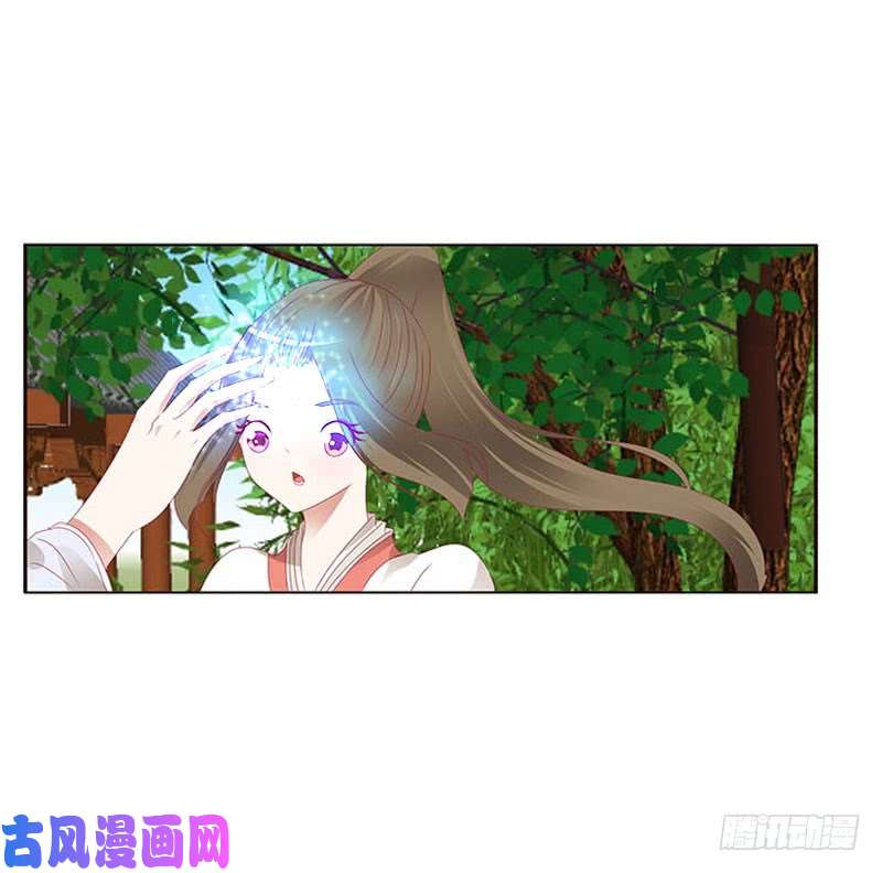 通灵妃本君会照顾“他”