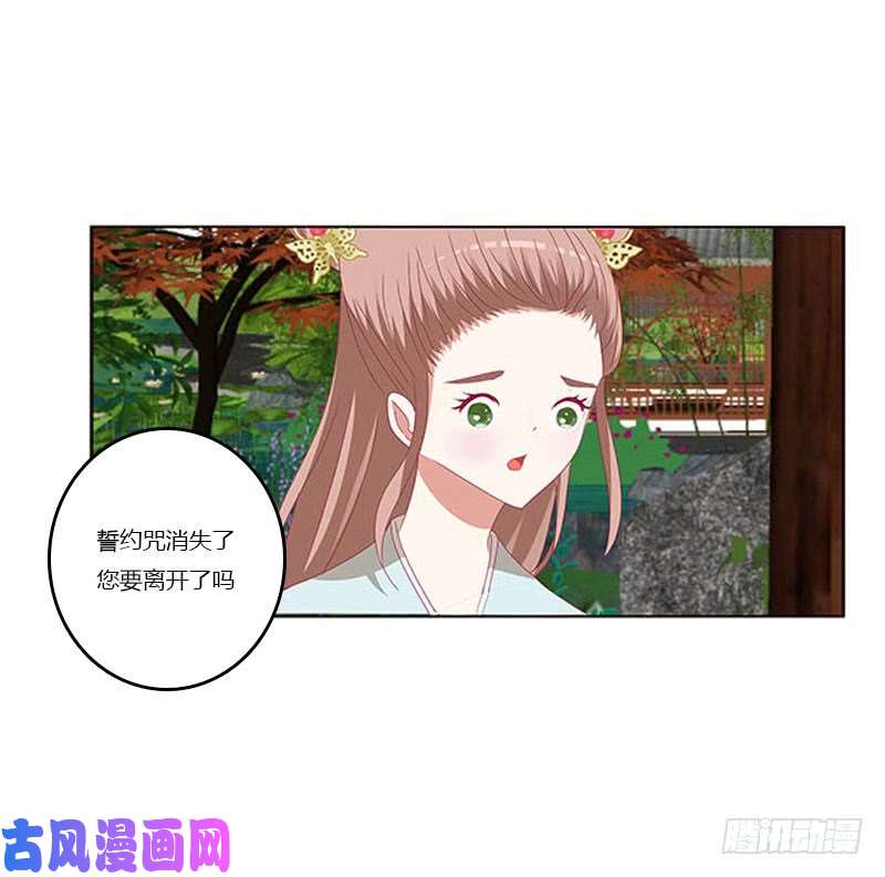 通灵妃本君会照顾“他”