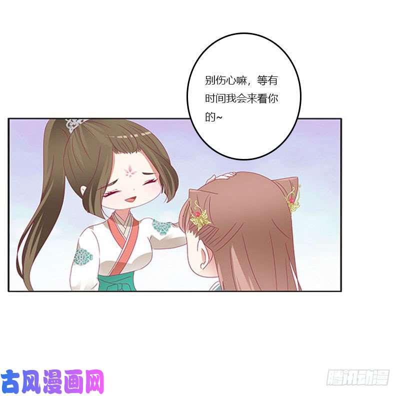 通灵妃本君会照顾“他”