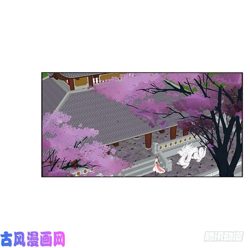 通灵妃本君会照顾“他”