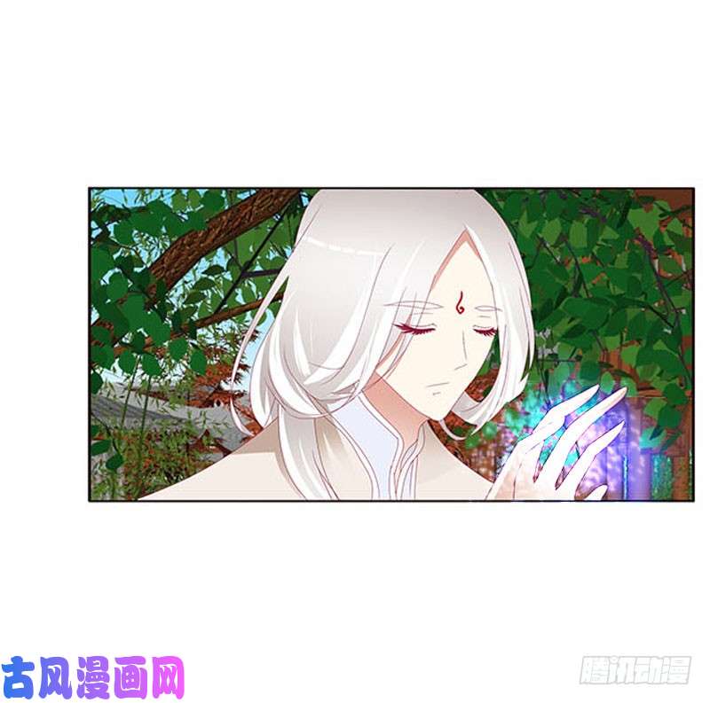 通灵妃本君会照顾“他”