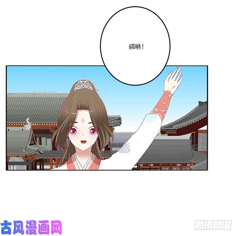 通灵妃本君会照顾“他”