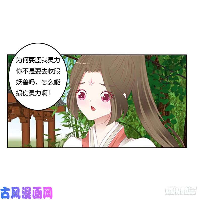 通灵妃本君会照顾“他”