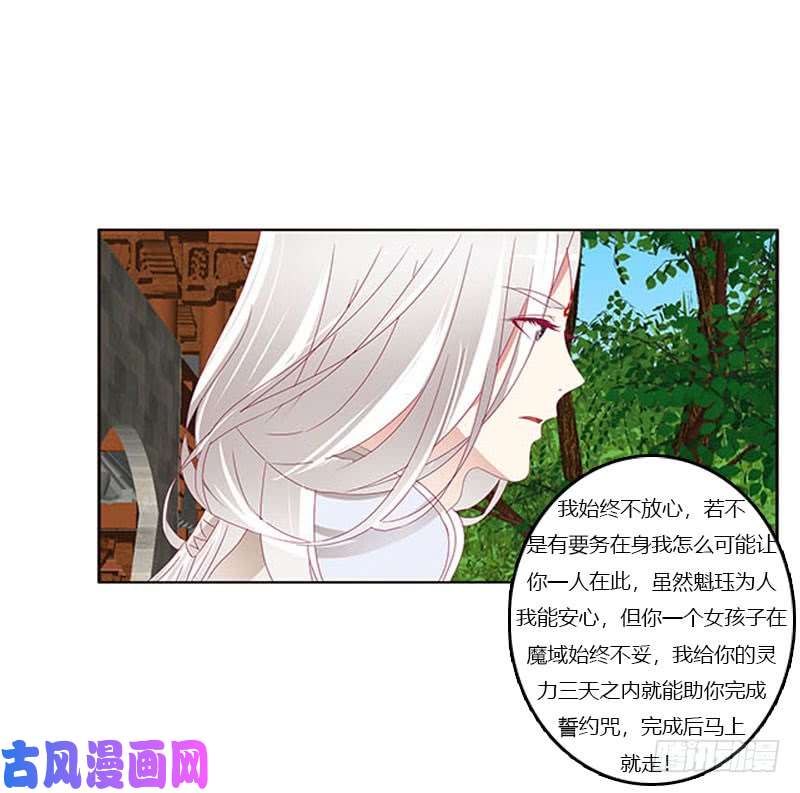 通灵妃本君会照顾“他”
