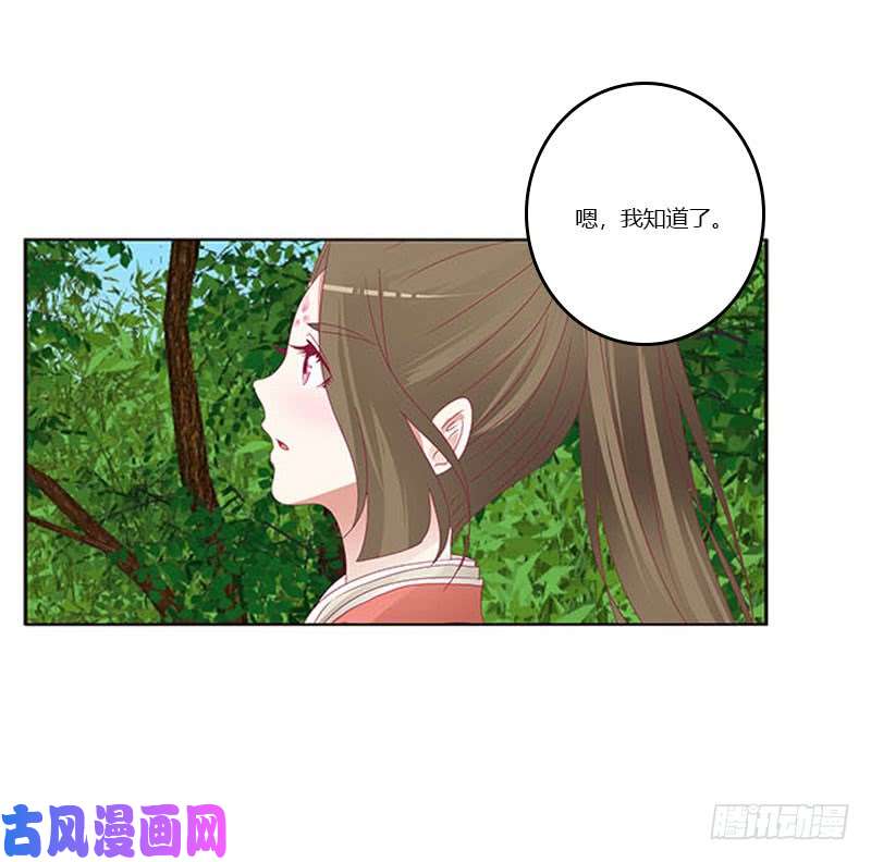 通灵妃本君会照顾“他”