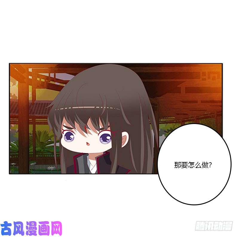 通灵妃本君的爱无处不在