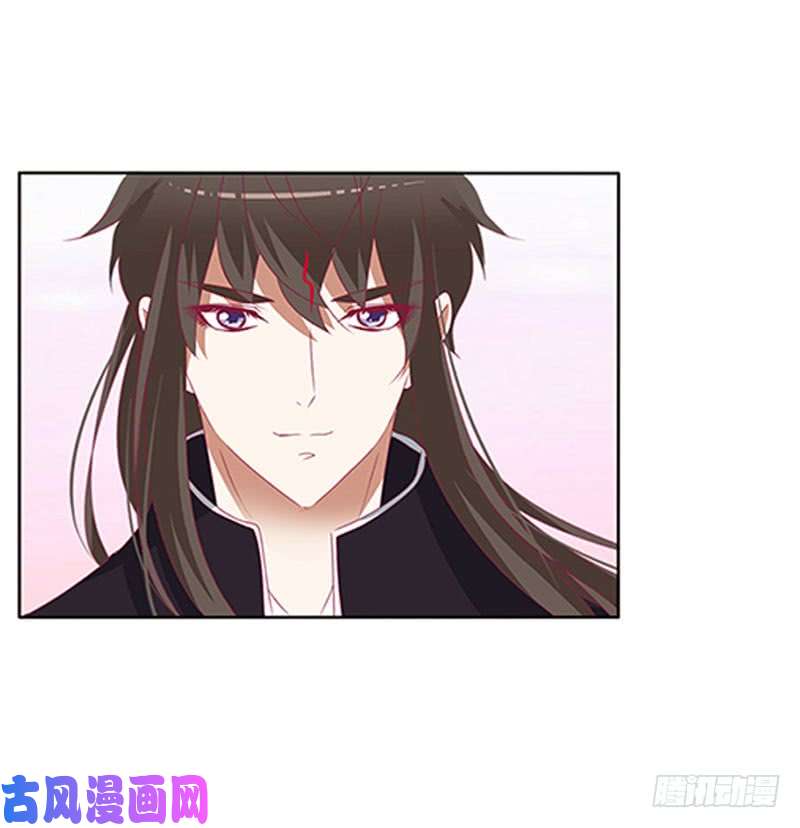 通灵妃本君的爱无处不在