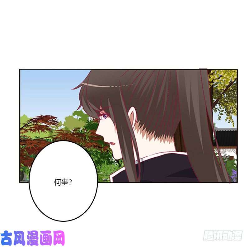 通灵妃本君的爱无处不在