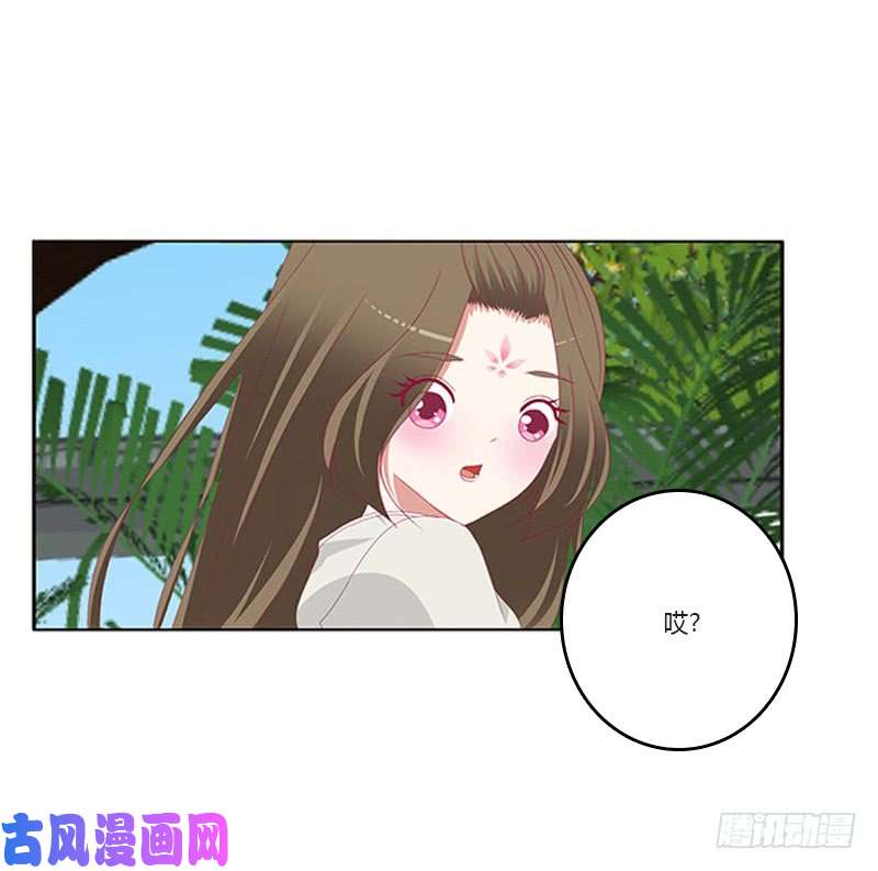 通灵妃你都不陪本君