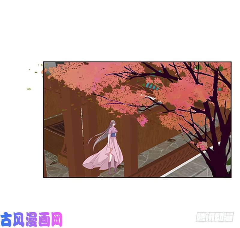通灵妃婉儿的幸福
