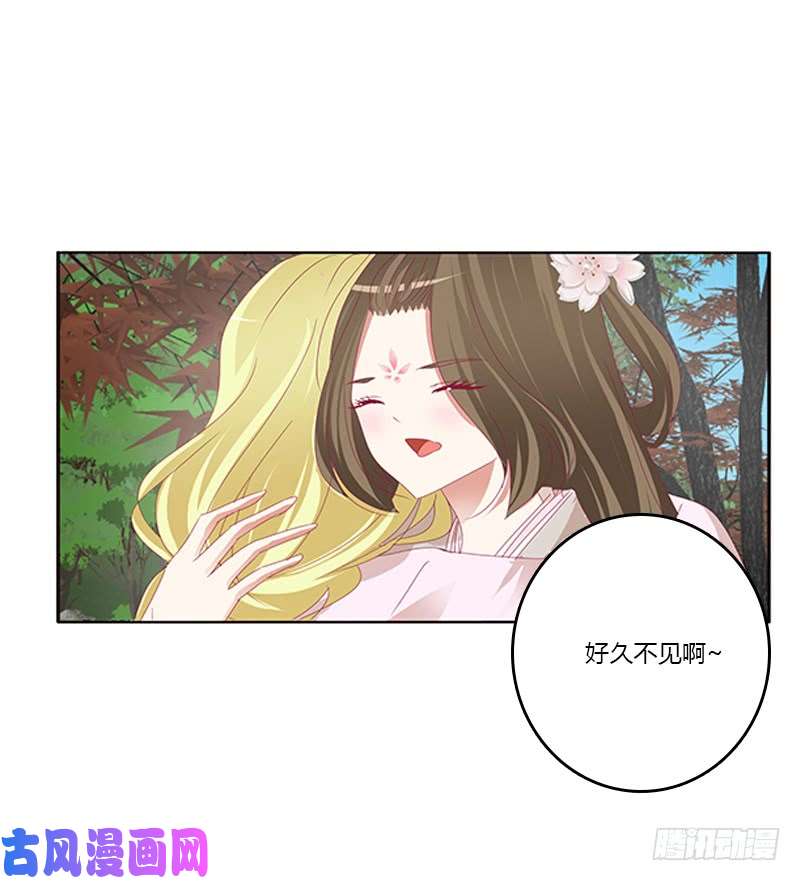 通灵妃云兮话来了