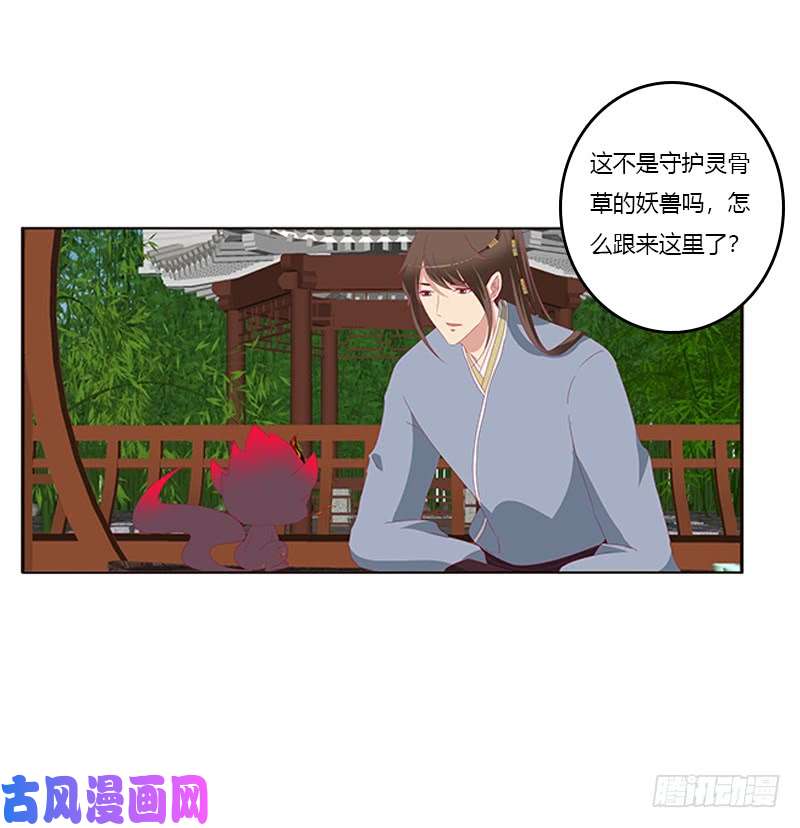 通灵妃别离
