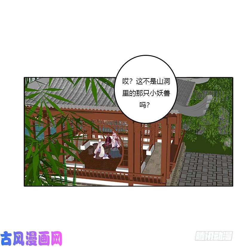通灵妃别离