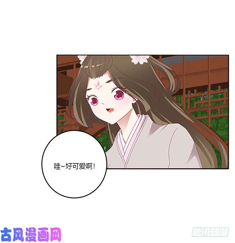 通灵妃别离