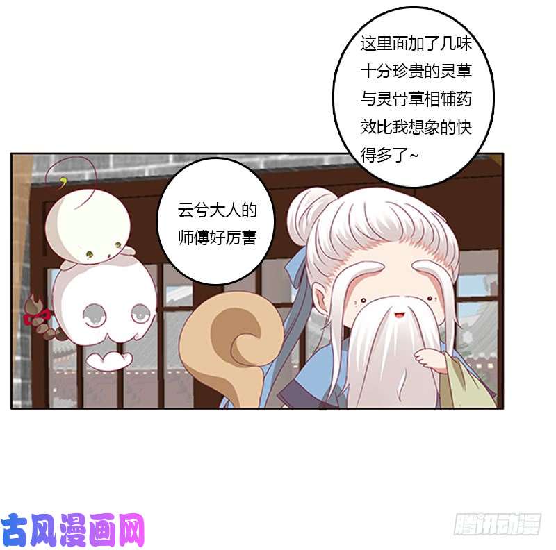 通灵妃随本王进宫