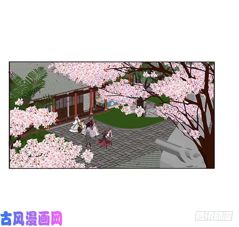 通灵妃随本王进宫