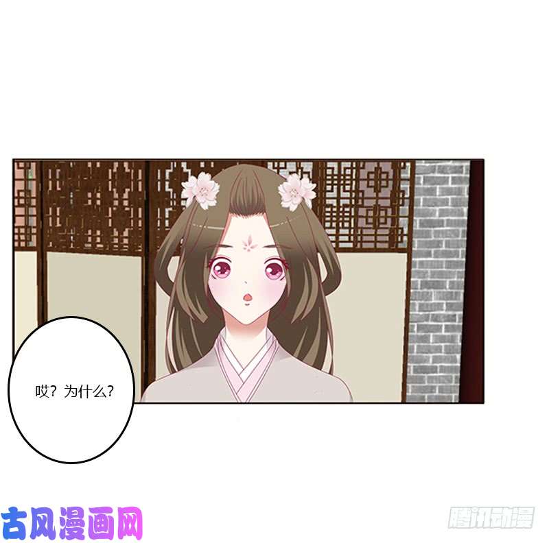 通灵妃随本王进宫