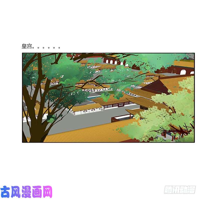 通灵妃随本王进宫