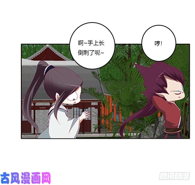 通灵妃随本王进宫