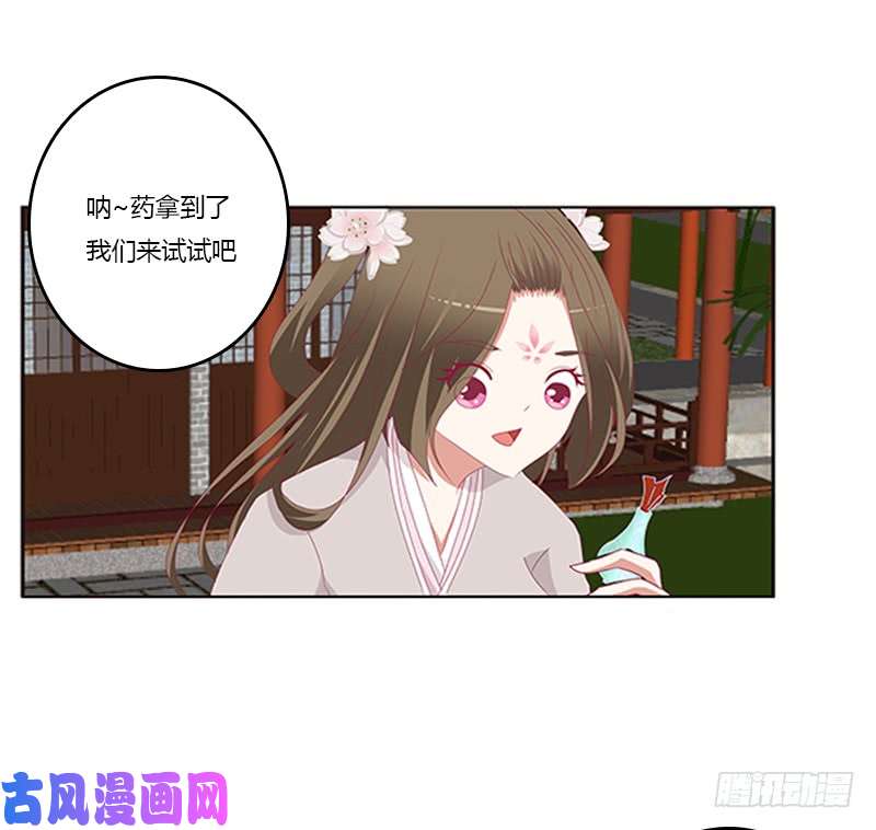 通灵妃随本王进宫