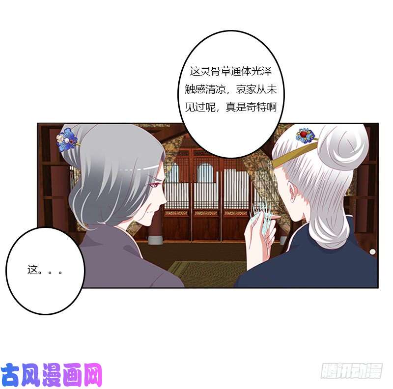 通灵妃你凶我！