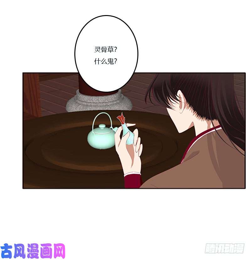 通灵妃你凶我！