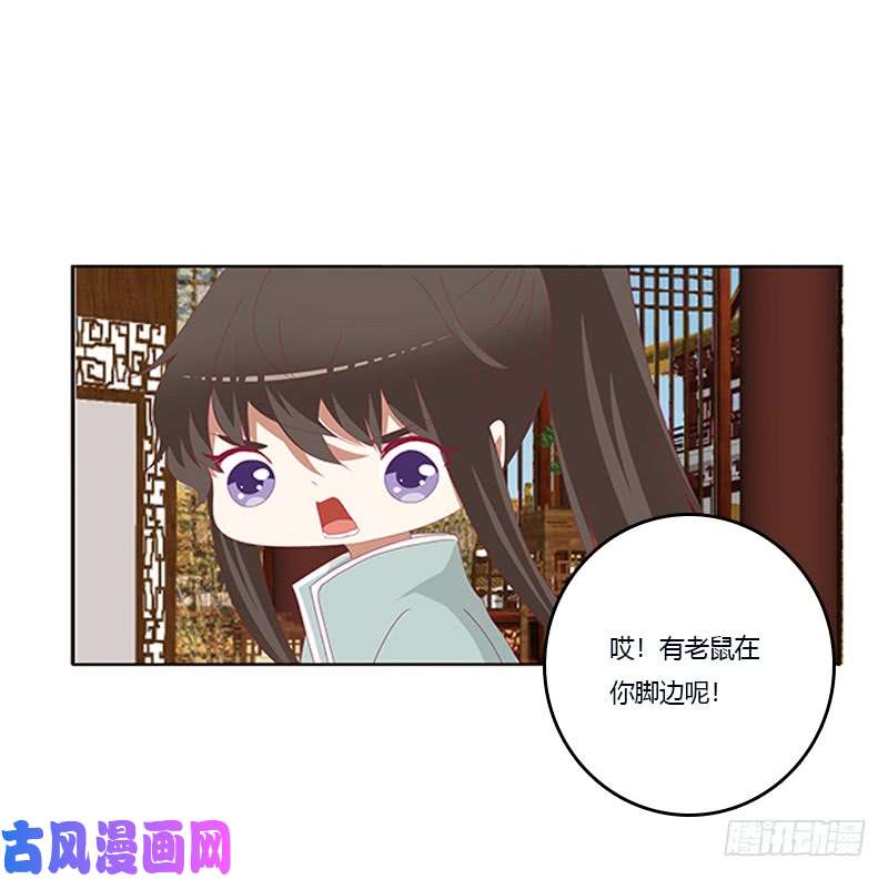 通灵妃肆意指婚