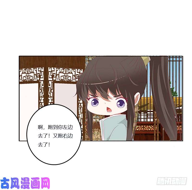 通灵妃肆意指婚