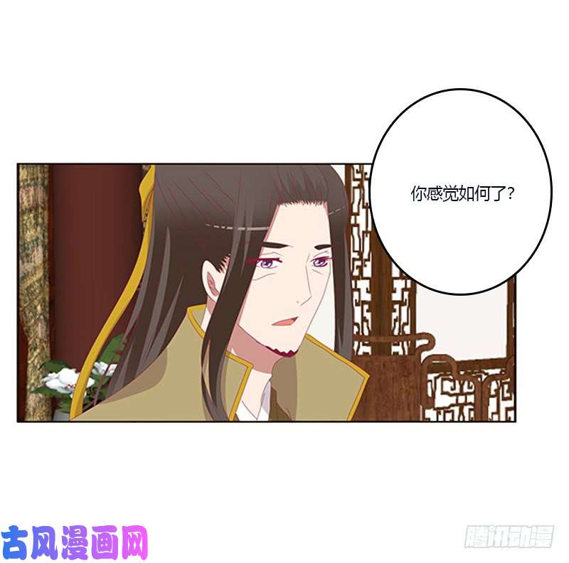 通灵妃肆意指婚