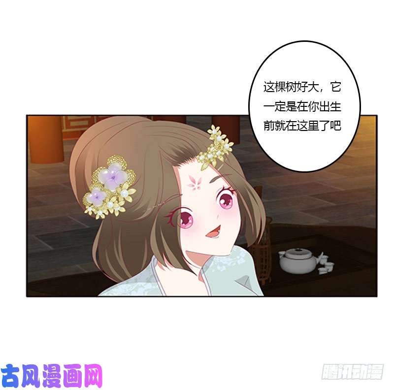 通灵妃我错了，对不起