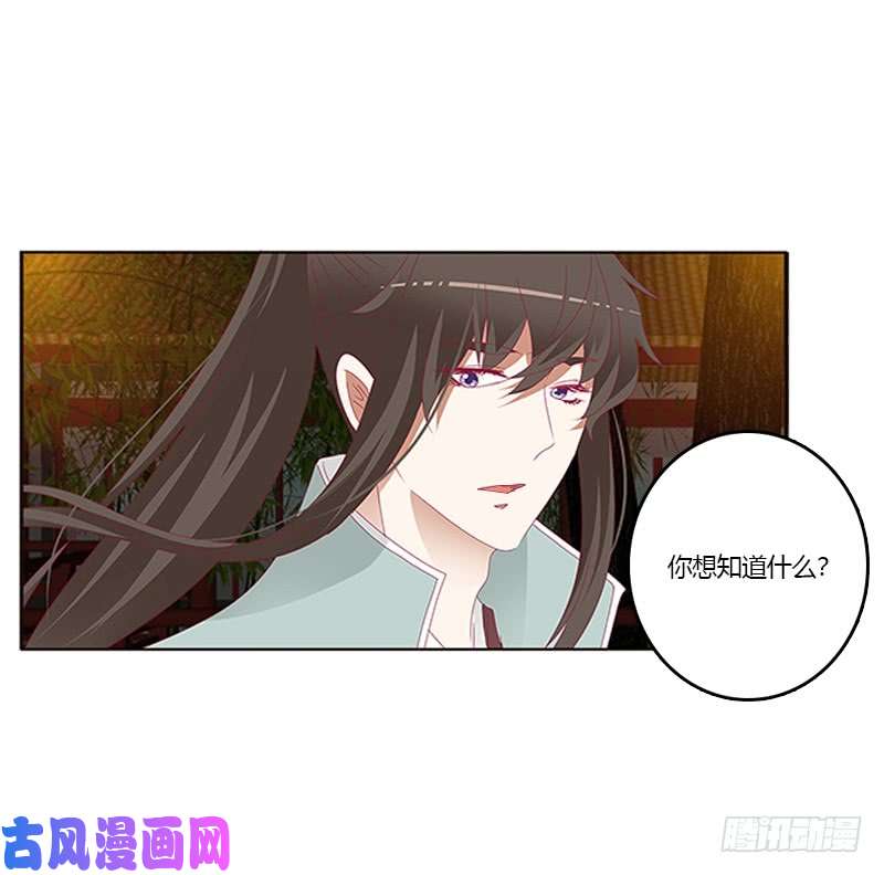 通灵妃我错了，对不起