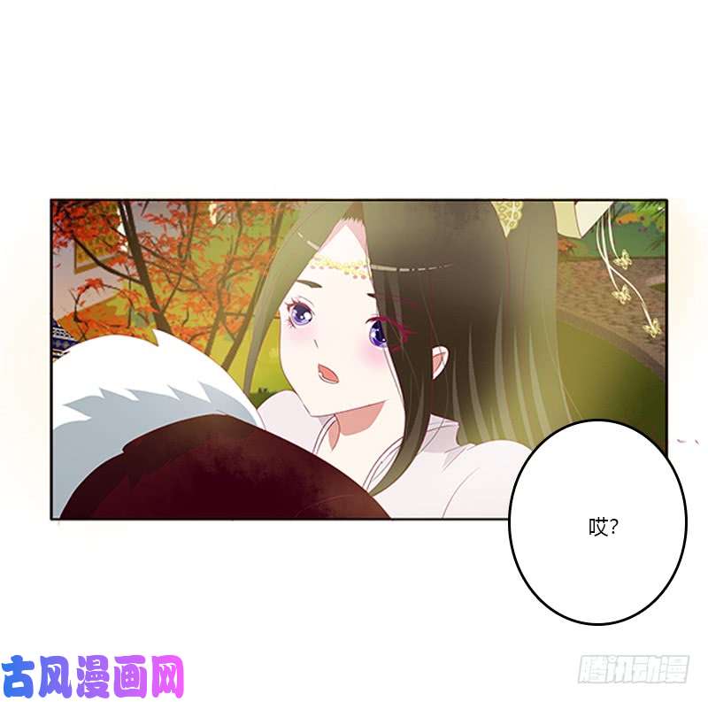 通灵妃身孕