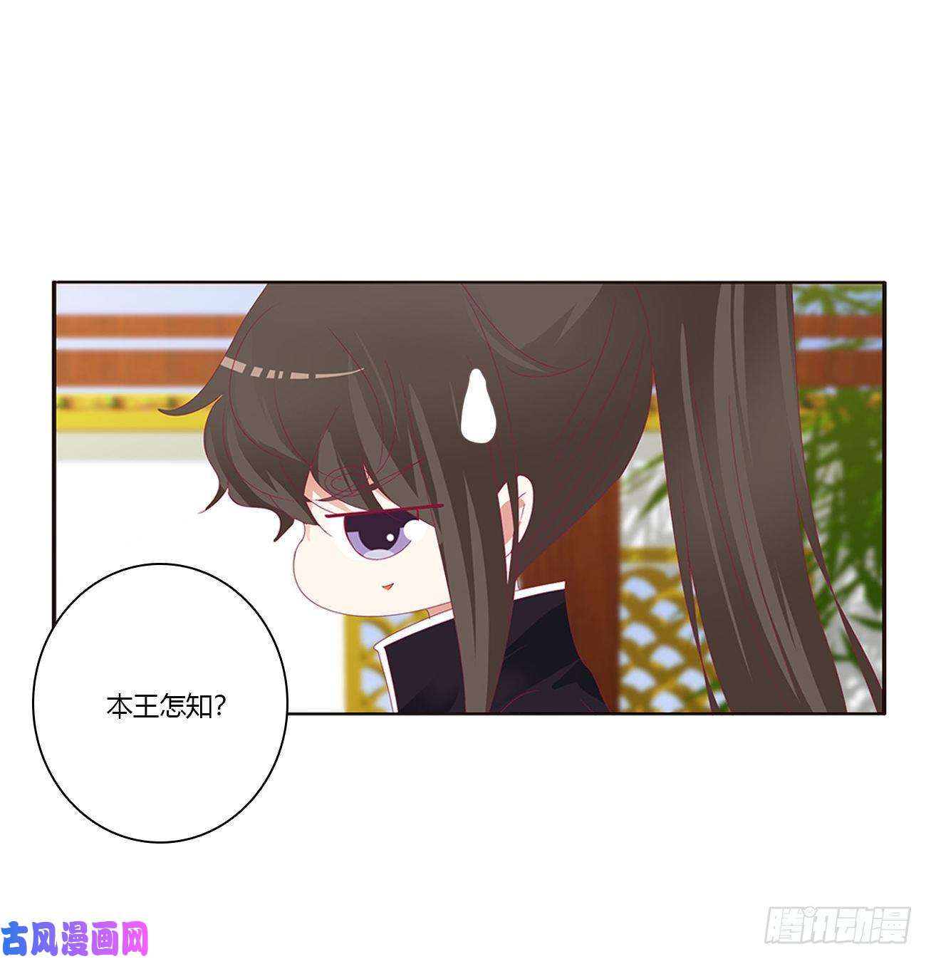 通灵妃你的性取向