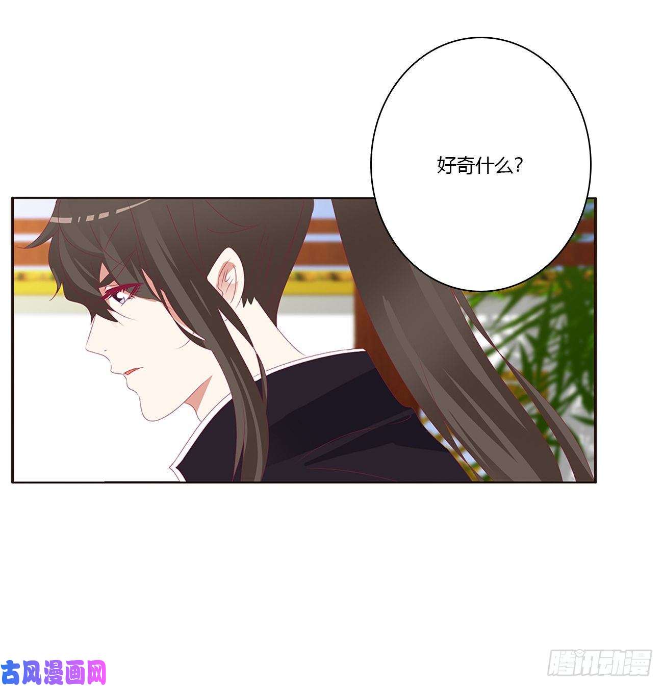 通灵妃你的性取向