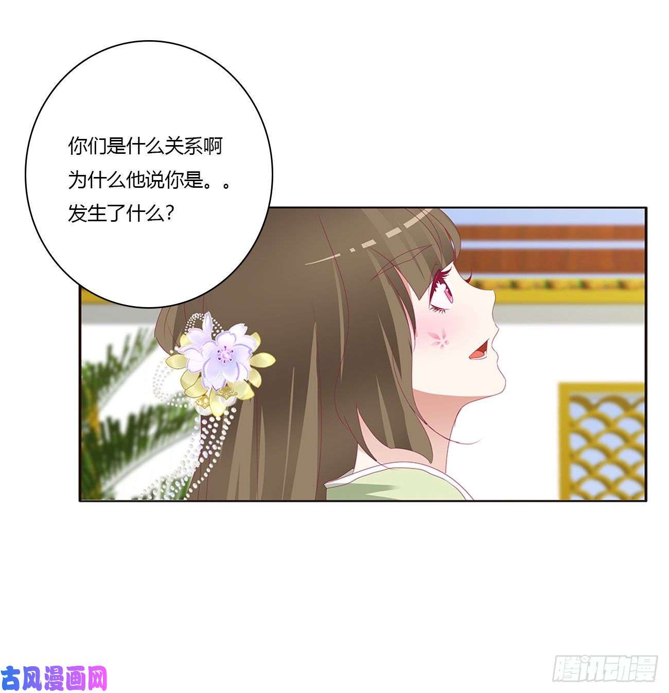 通灵妃你的性取向