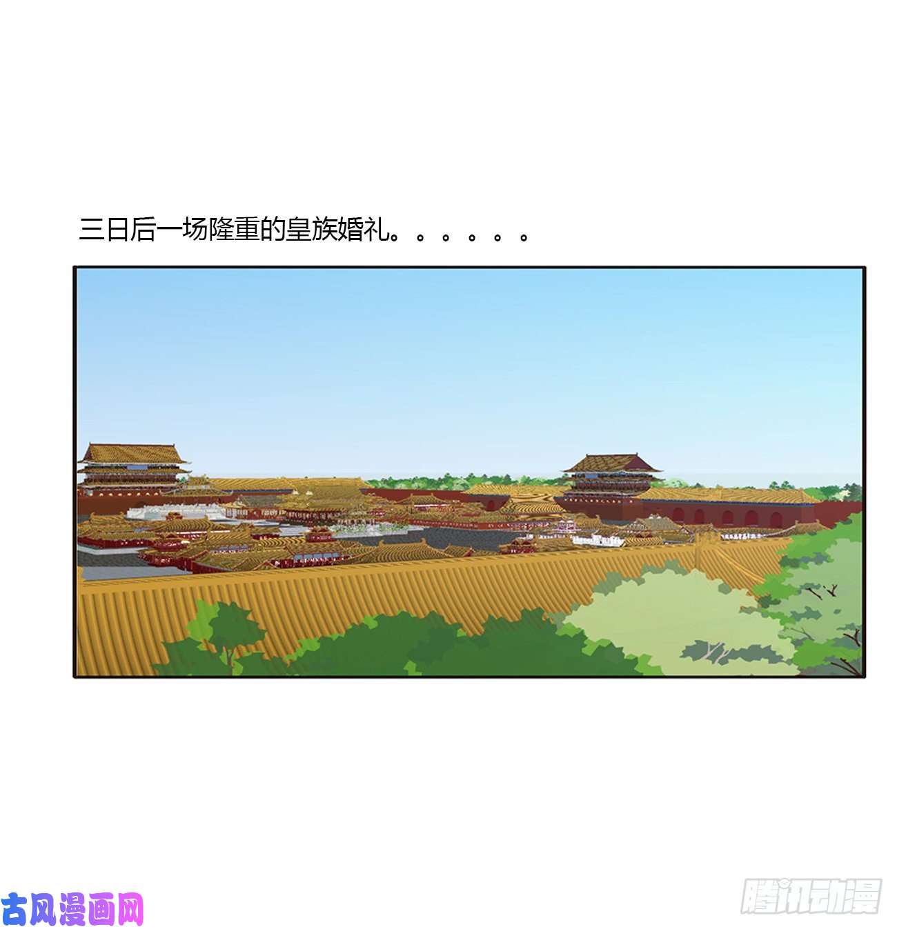通灵妃你的性取向