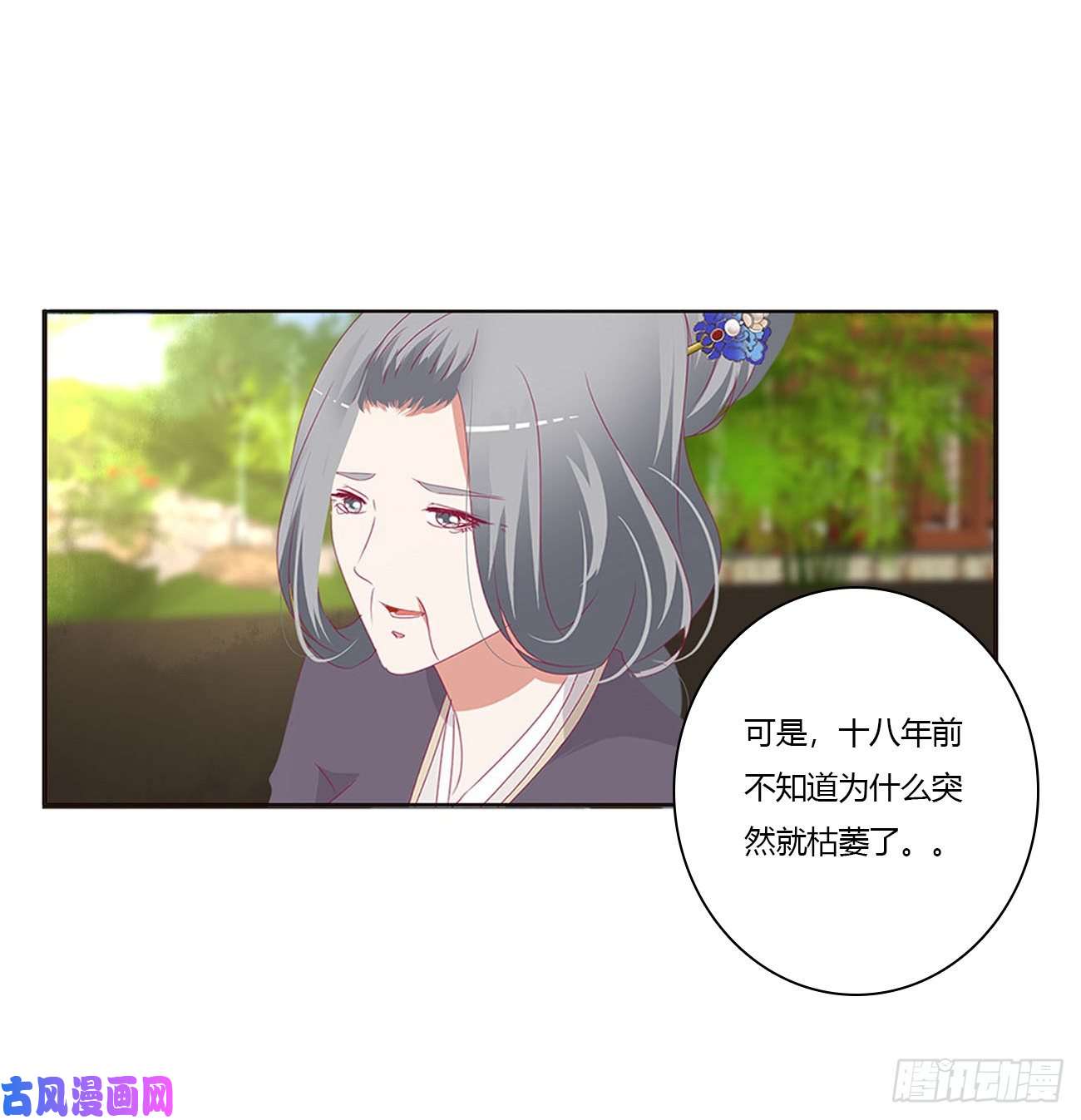 通灵妃王府吉星
