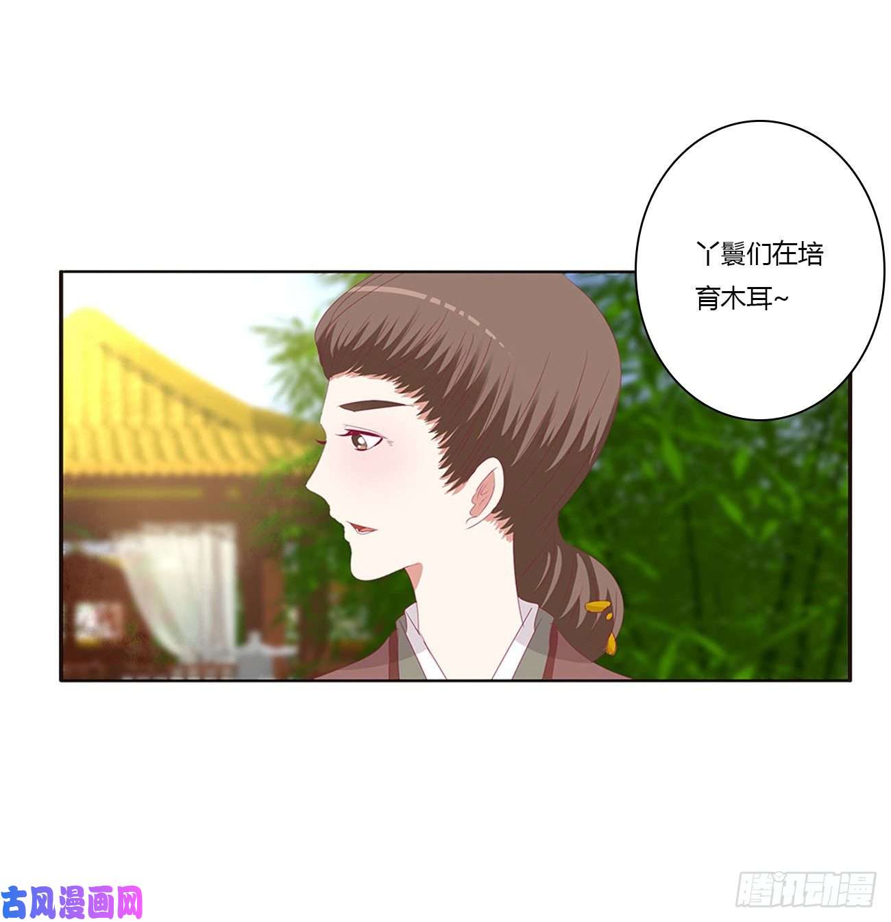 通灵妃王府吉星