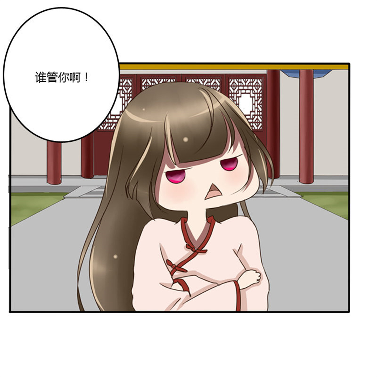 通灵妃75 王爷的吩咐