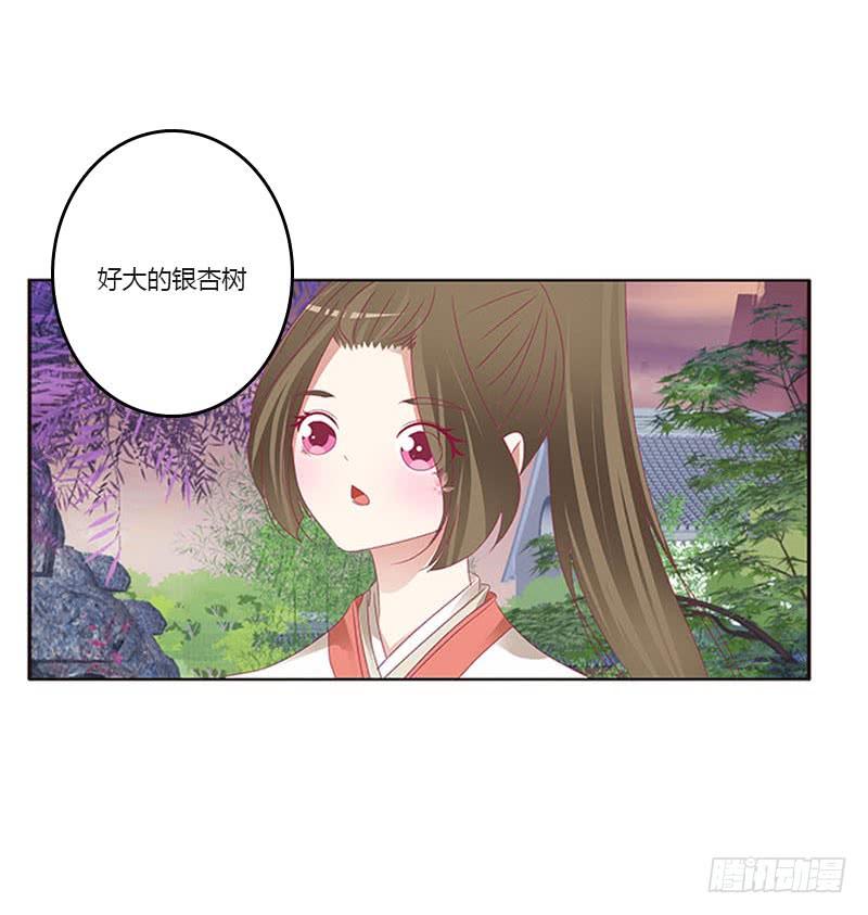 通灵妃他是谁？ 2