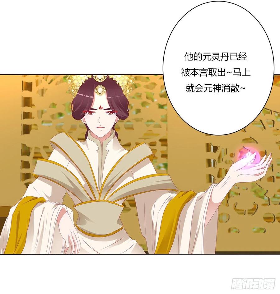 通灵妃你不是灵儿！