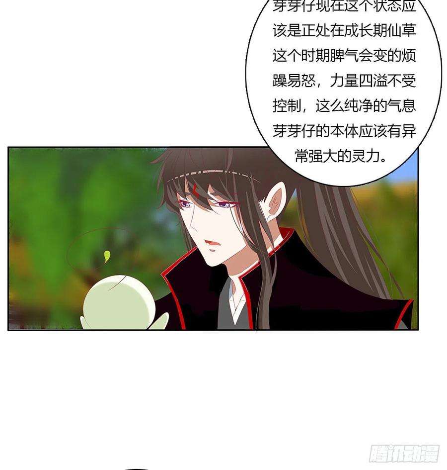 通灵妃成长期