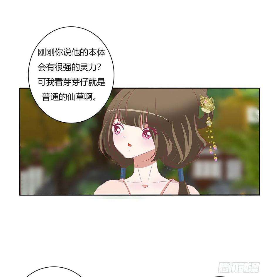 通灵妃成长期