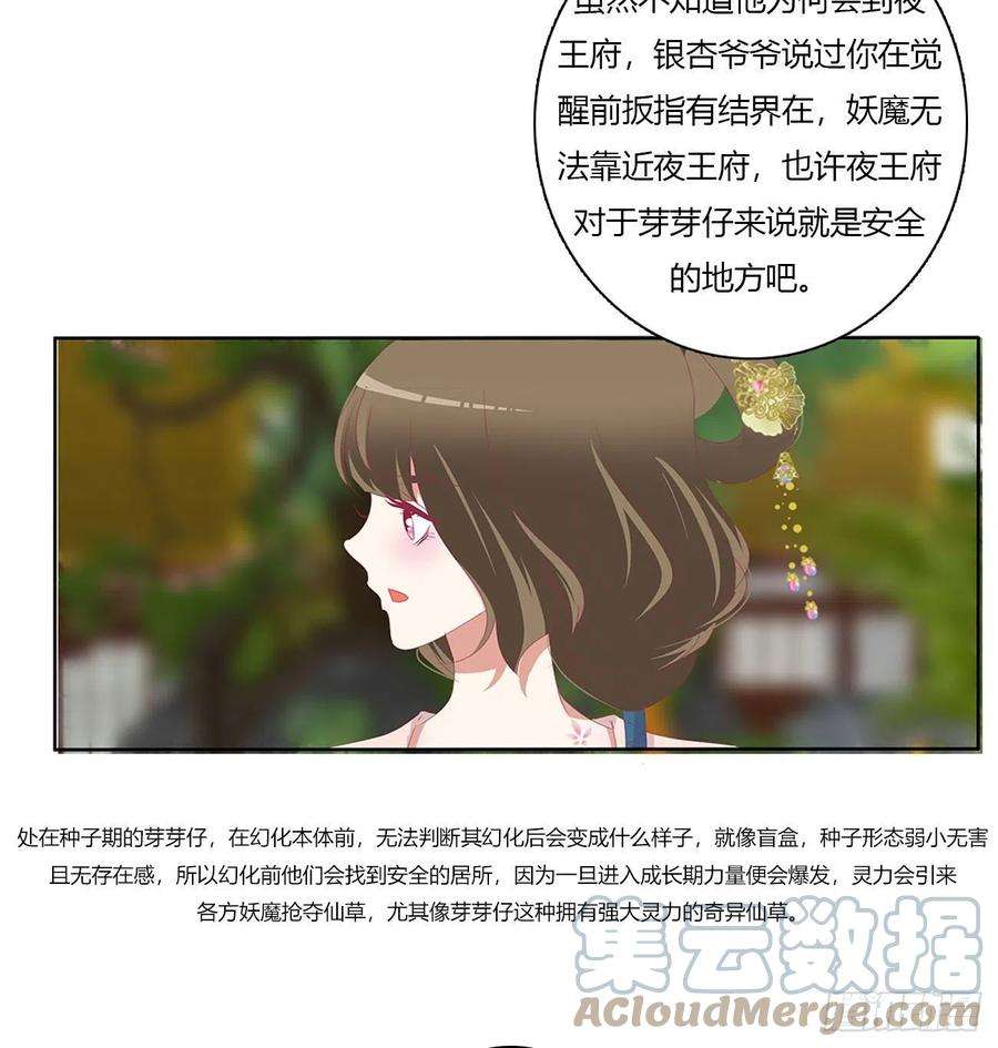 通灵妃成长期