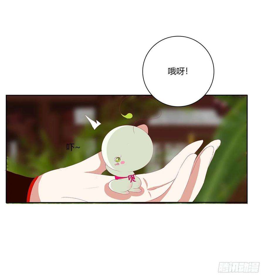 通灵妃成长期