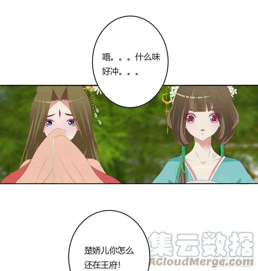 通灵妃恩爱夫妻