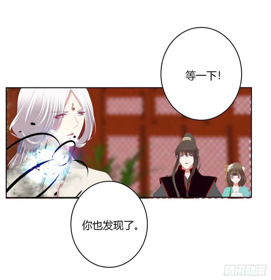 通灵妃旭离的阴谋