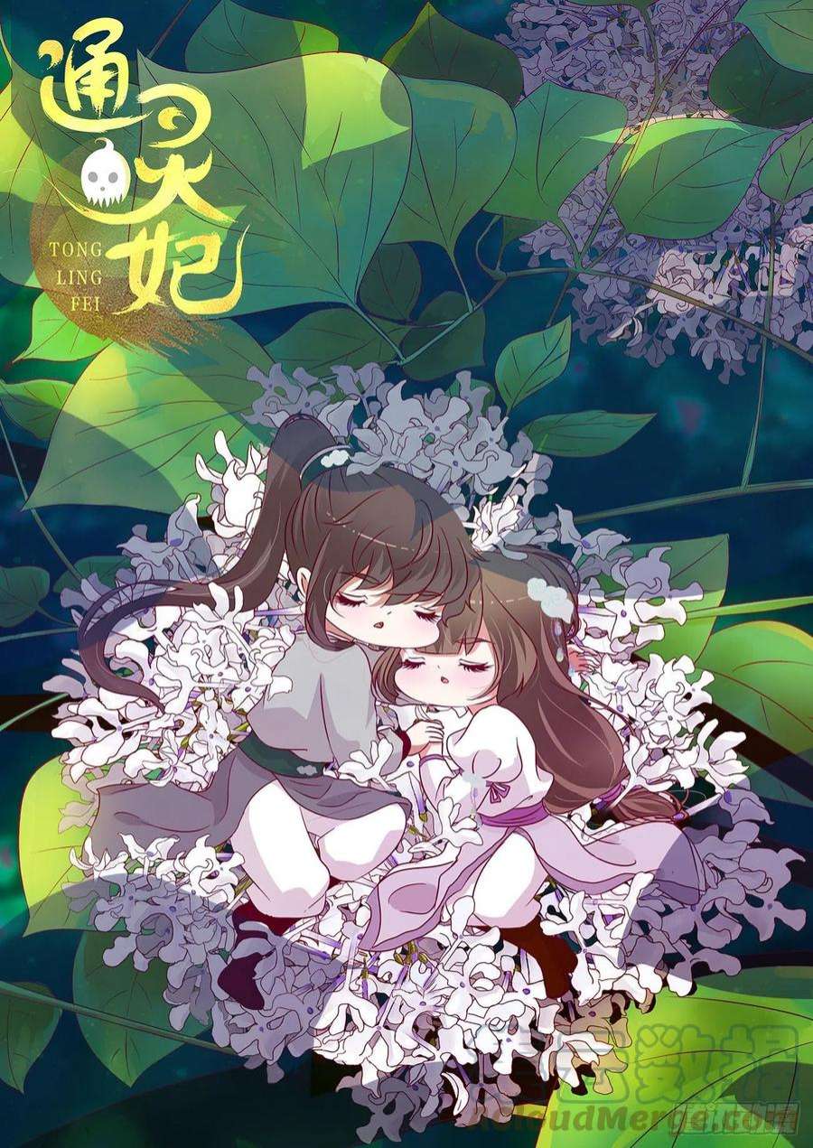 通灵妃线索